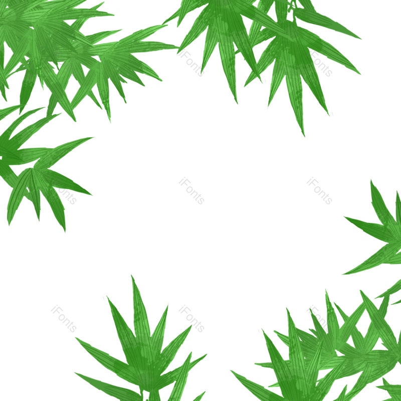 叶子图片,边框元素,装饰PNG,端午免抠素材